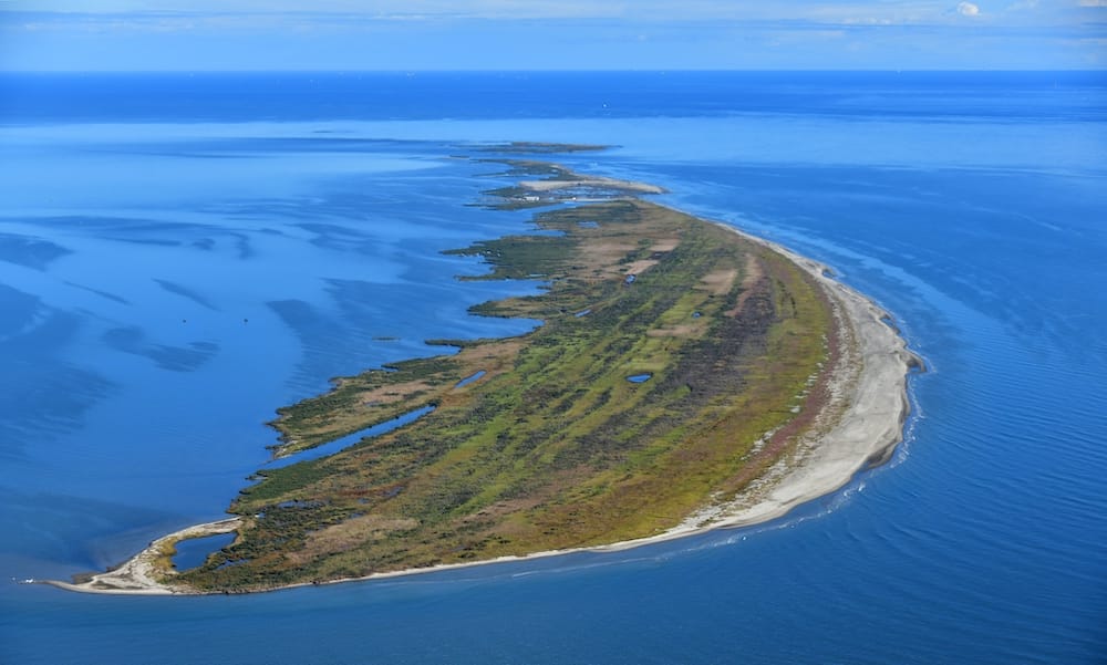 _Planet_Sustainability